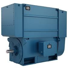 Medium/High Voltage Induction Motors